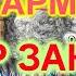 РАЗБОР ПОД ГАРМОНЬ ВЕЧЕР ЗАКАТОМ ВДАЛИ ДОГОРЕЛ