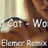 Doja Cat Woman Elemer Remix