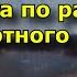 3 совета по развитию нестандартного мышления