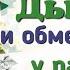 Краткий пересказ 15 Дыхание и обмен веществ у растений Биология 6 класс Пономарёва