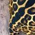 STUNNING Jaguar Spots