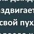 Дылда у Знахарки и 35 летняя Похотливая Девка Подборка Лучших Анекдотов Синего Предела