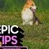 Epic Tips X Galaxy S24 Ultra Make Your Pics Bow WOW Samsung