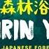 Shinrin Yoku The Art Of Forest Bathing Short Film