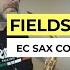 Fields Of Gold Sting Alto Sax Cover