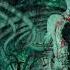 Decapitated Spheres Of Madness Instrumental