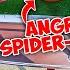 Why SPIDER MOM Is The CRAZIEST Character Yet Funny Comedy Skit