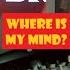 Where Is My Mind Metal Cover By Leo Moracchioli OldSkuleNerd Reaction