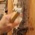 Beaver Collab Woodworking Woodcarving Woodspirit Linker