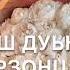 Дала декъал йойл