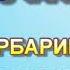 ДРУЖБА НІНОЧКА КОЗІЙ