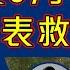 Raga Finance 4點光線財經 瑞銀集團特約 買粒 棠 贏間廠 20240902 主持 冼潤棠 棠哥 羅尚沛 譚朗蔚 沈振盈 沈大師