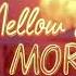 Mr Mellow Lora Baila Morena