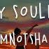 Iamnotshane Maybe My Soulmate Died Lyric Video