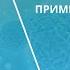 Бетулин Березовый Мир Доктор медицинских наук профессор иммунолог Симонова А В