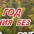 Аквариум на земле Год содержания без подмен Обзор и выводы