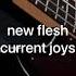 New Flesh Current Joys Slowed Reverb