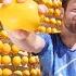 World S Largest Lemon Battery