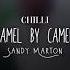 CAMEL BY CAMEL EDIT AUDIO