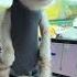 Не хочу хвастаться НО Cat веселыекоты Funny прикольныекоты юмор видосыоткота мем котики