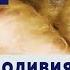 Коробка для родов пригодилась Средство от запаха и меток Шпицбуль Бэлла и щенки Ждем родов собаки