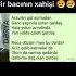 Qardaş Qemliseirler Shorts Trending