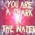 Shark In The Water Lyric Video By Lauren Mayhew Robert Abigail And WildVibes