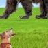 Funny Animal World Chicken Dog Elephant Cow Cat Rabbit Bear Animal Sounds