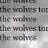 Running With The Wolves Aurora Lyrics