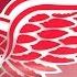 Detroit Red Wings 2018 19 Goal Horn