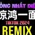 许嵩 黄龄 惊鸿一面 DJ抖音版 2024 Kinh Hồng Nhất Diện Remix Tiktok Happy咩咩 Hoàng Linh Hứa Tung