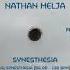 Nathan Melja Synesthesia Pariah Remix