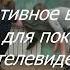 Стрельба в Брянской школе Нет тренировка К такому готовились на учениях более 10 лет назад