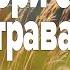 Поговори со мной трава