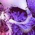 IST DER MIX VON DUBSTEP DEATHCORE BEATDOWN GUT NIMDA X BOUND IN FEAR HOLLOW SKULL REACTION