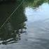 FISH SIZE GROWS BEFORE YOUR EYES Spinning Fishing 2025