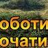 Купили будинок Наводимо порядок на ділянці Наш сад