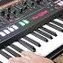 Roland Jupiter X Piano Organ Vocoder Brass Strings And More Bonners Music