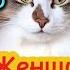 ЮМОР ИГОРЬ МАМЕНКО лекция ЖЕНЩИНА В СОВРЕМЕННОЙ АРМИИ
