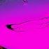 HIMXN Nulteex TAK TAK Slowed
