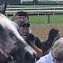 Steve Asmussen Breaks All Time Training Record