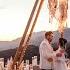 Свадебное видео Whale Koala Wedding