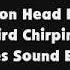 Cartoon Head Bonks With Bird Chirping And Chimes SFX