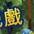 瑪莎與熊 猴子把戲 第74集 Masha And The Bear CH