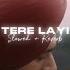 Tere Layi Slowed Reverb Nirvair Pannu