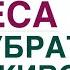 КАК УБРАТЬ ЖИР С ЖИВОТА КАК ПОХУДЕТЬ ЛЕГКО Гормоны и снижение веса Врач эндокринолог Ольга Павлова