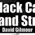 Black Cat From Luck And Strange David Gilmour Guitar Tab Playalong