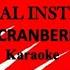 ANIMAL INSTINCT THE CRANBERRIES KARAOKE