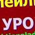 Немецкий язык по плейлистам с нуля Урок 306 Zeitadverb Anschließend место в предложении