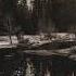 Night Lovell Trees Of The Valley SLOWED TO PERFECTION